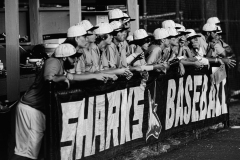 HS-HARDBALL-2
