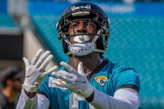061423-JAGUARS-MINI-CAMP-3-2