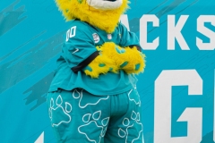 111323-49ERS-vs-JAGS-129